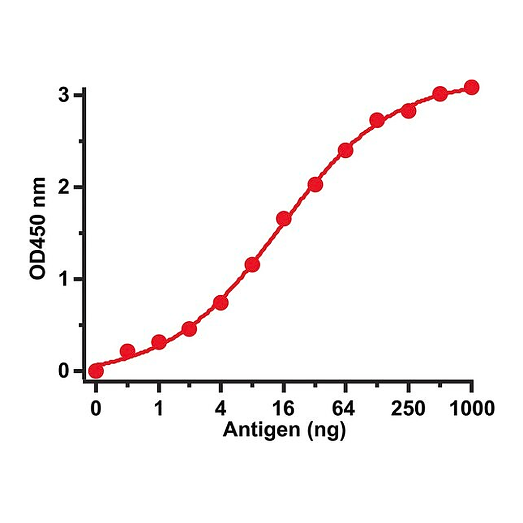 Merck Anti-SARS-CoV Spike antibody produced in rabbit