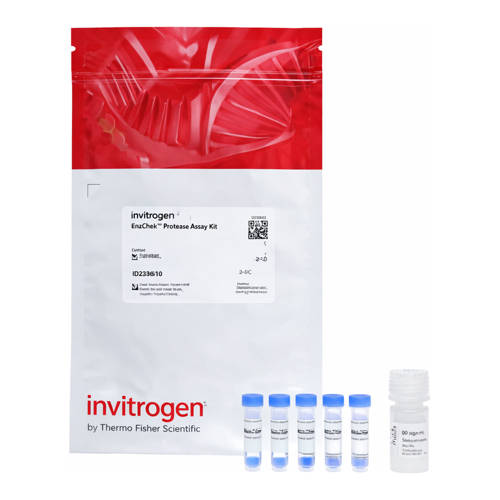Thermo Fisher Scientific EnzChek Protease Assay Kit, red fluorescence, 100-1000 assays