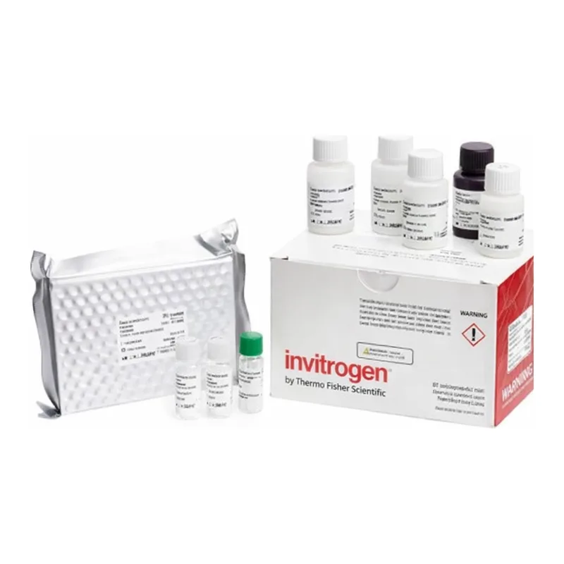 Thermo Fisher Scientific Human IL-8 Rapid ELISA Kit