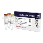Thermo Fisher Scientific SalI (10 U/μL), 1,500 units