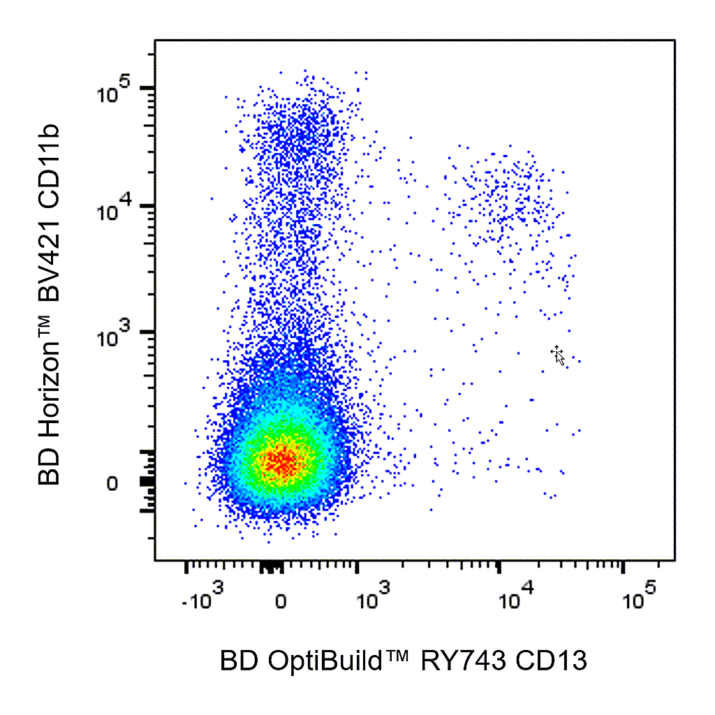 BD RY743 Rat Anti-Mouse CD13