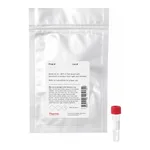 Thermo Fisher Scientific DyLight 680 Maleimide