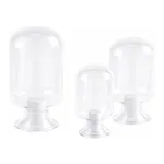 Glass Specimen Jar 종자병, LukeGL