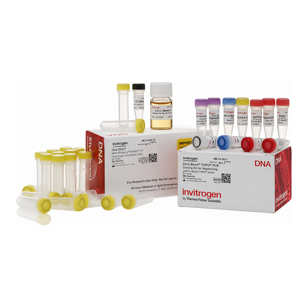 Thermo Fisher Scientific Zero Blunt TOPO PCR Cloning Kit for Sequencing, with One Shot MAX Efficiency DH5α-T1<sup>R</sup> E. coli
