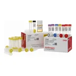 Thermo Fisher Scientific Zero Blunt TOPO PCR Cloning Kit for Sequencing, with One Shot MAX Efficiency DH5α-T1<sup>R</sup> E. coli