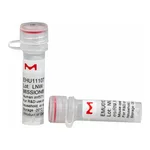 Merck MISSION(R) esiRNA