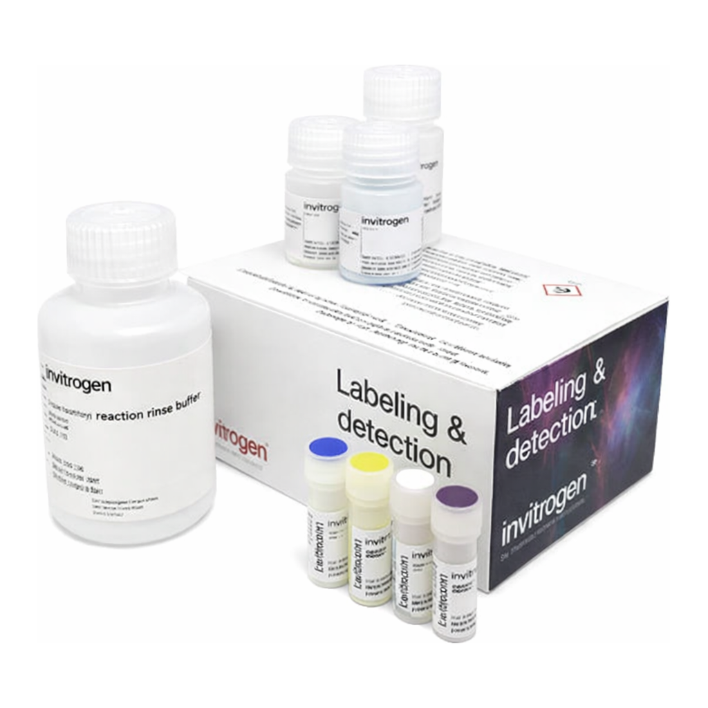 Thermo Fisher Scientific Click-iT EdU Alexa Fluor 647 HCS Assay, 2 x 96 well plates
