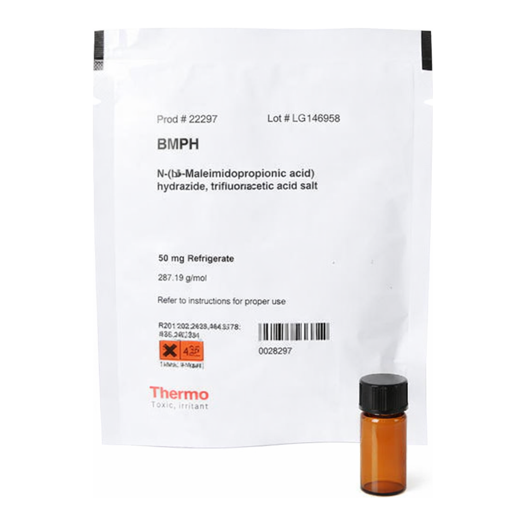 Thermo Fisher Scientific BMPH (N-β-maleimidopropionic acid hydrazide)