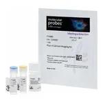 Thermo Fisher Scientific Fluo-4 Calcium Imaging Kit