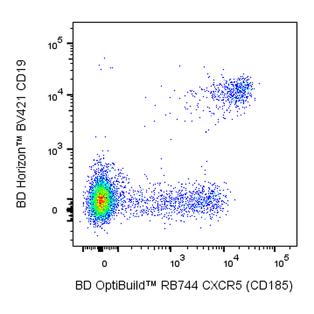BD RB744 Rat Anti-Human CXCR5 (CD185)