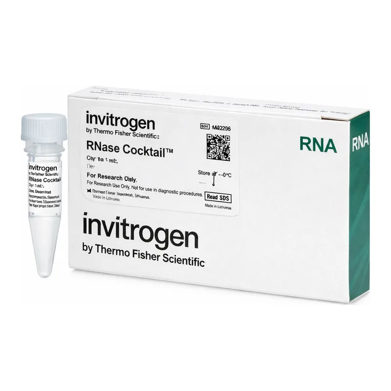 Thermo Fisher Scientific RNase Cocktail Enzyme Mix, 1 mL