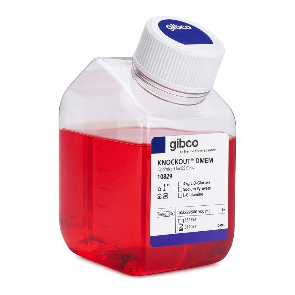 Thermo Fisher Scientific KnockOut DMEM