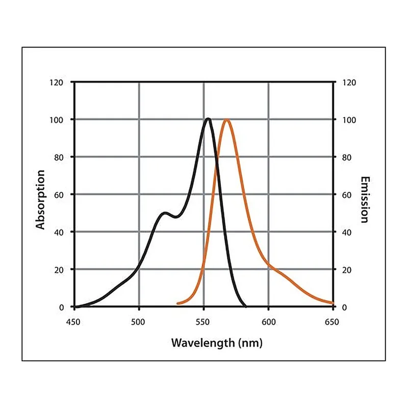 Merck Anti-Goat IgG (H+L), highly cross-adsorbed, CF(TM) 555 antibody produced in donkey