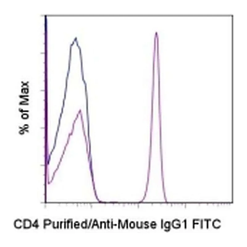 Thermo Fisher Scientific Rat anti-Mouse IgG1 Secondary Antibody, FITC, eBioscience