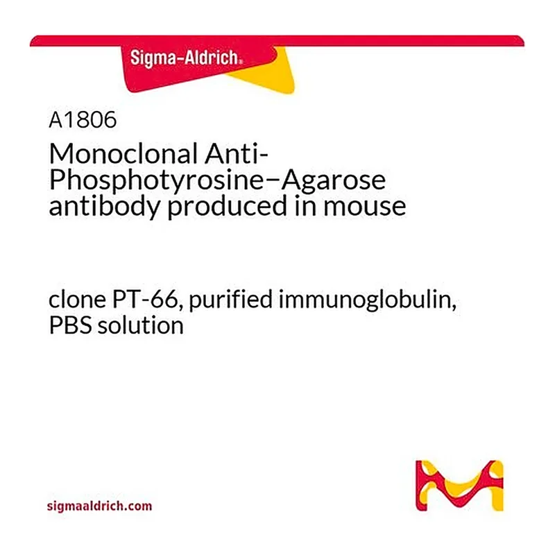 Merck Monoclonal Anti-Phosphotyrosine-Agarose antibody produced in mouse