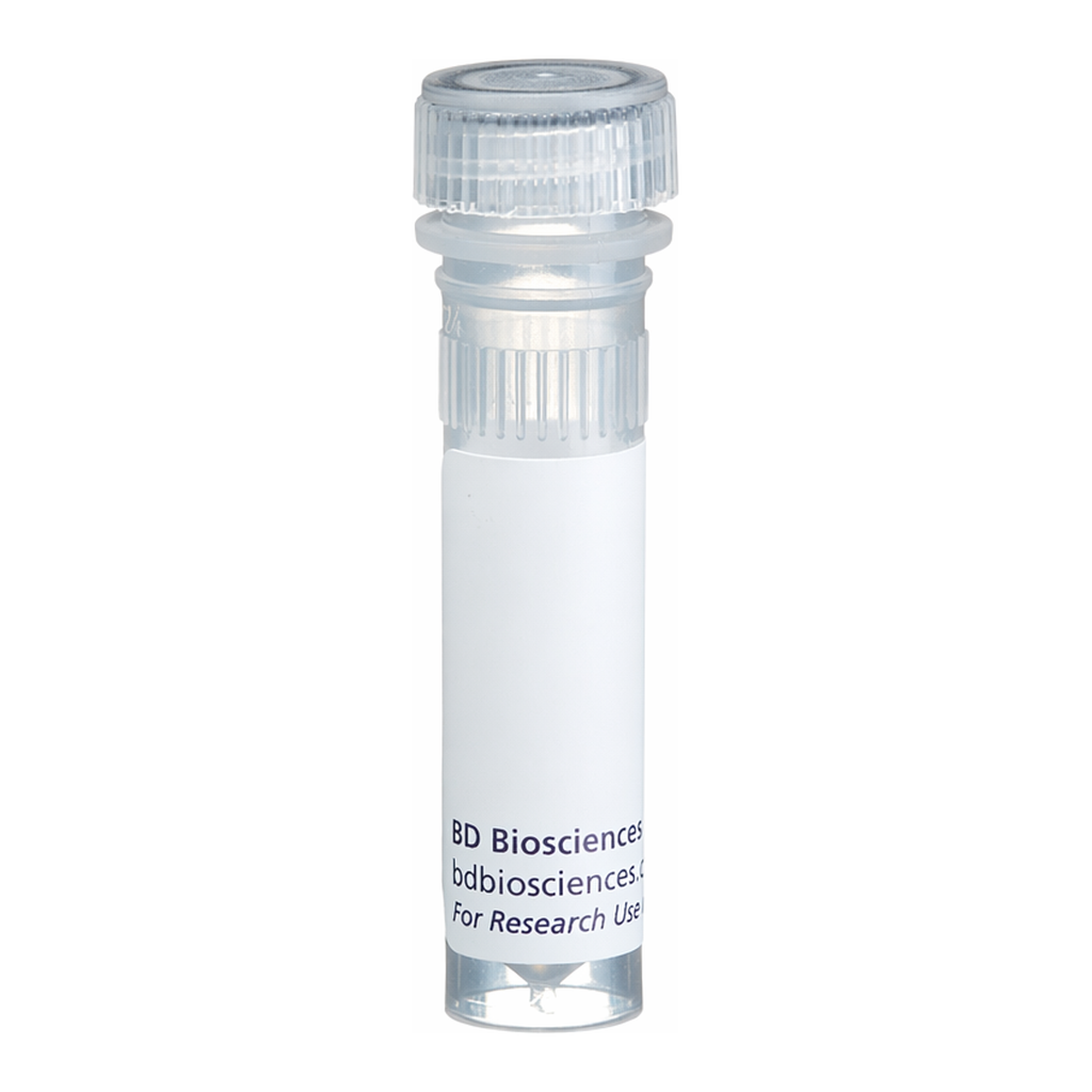 BD Biotin Rat Anti-Mouse CD45
