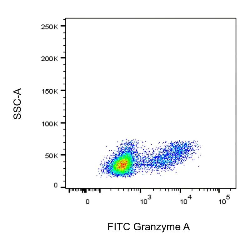 BD FITC Mouse Anti-Human Granzyme A