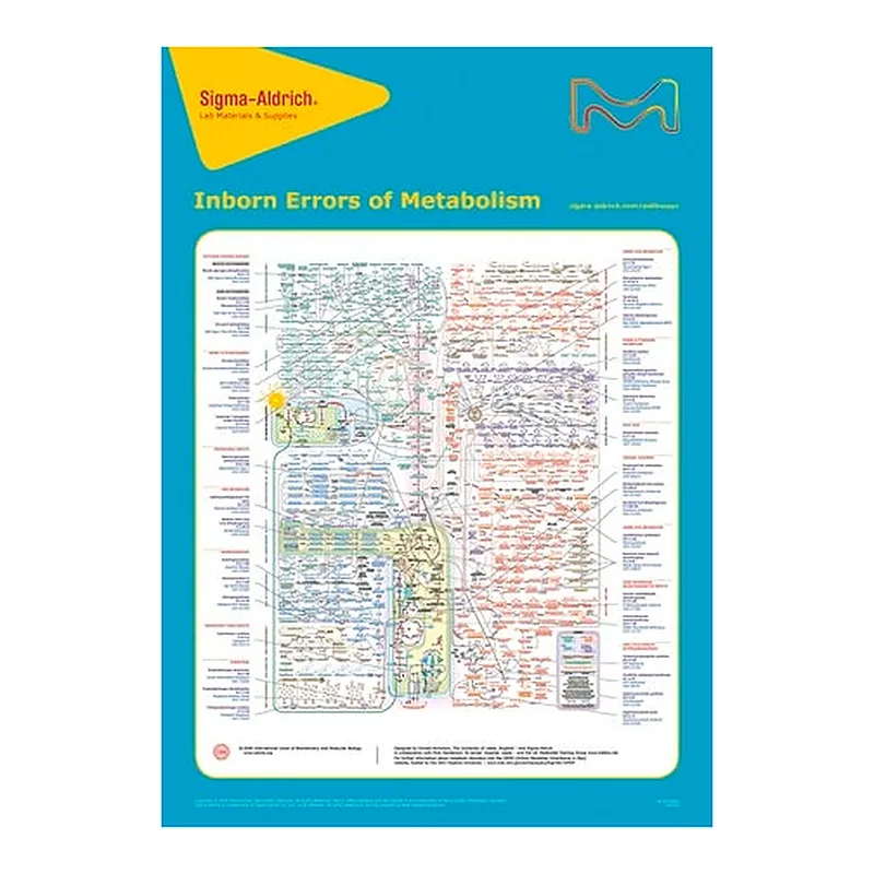 Merck Inborn Errors of Metabolism, 21st ed.