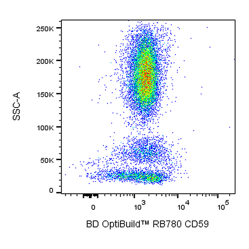 BD RB780 Mouse Anti-Human CD59