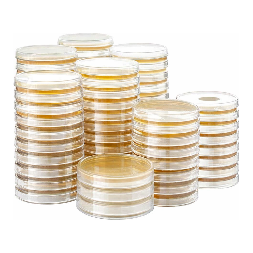 Kisanbio MBcell LB Agar (Luria Bertani)high salt plate / MB-L4487-P50