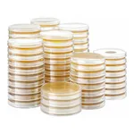 Kisanbio MBcell LB Agar (Luria Bertani)high salt plate / MB-L4487-P50