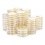 Kisanbio MBcell MRS Agar Plate / MB-M1024-P50