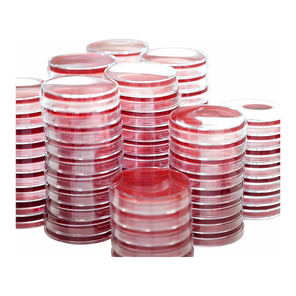 Kisanbio MBcell XLD (Xylose Lysine Desoxycholate) Agar plate (KP)/ MB-X1060P-P50
