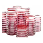 Kisanbio MBcell XLD (Xylose Lysine Desoxycholate) Agar plate (KP)/ MB-X1060P-P50