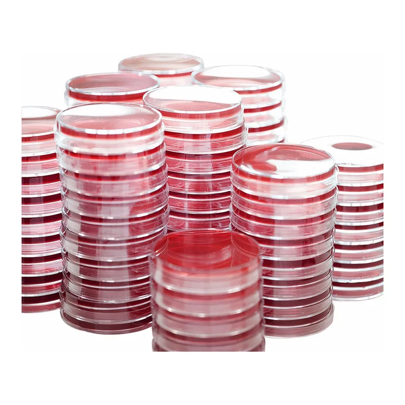 Kisanbio MBcell XLD (Xylose Lysine Desoxycholate) Agar plate (KP)/ MB-X1060P-P50
