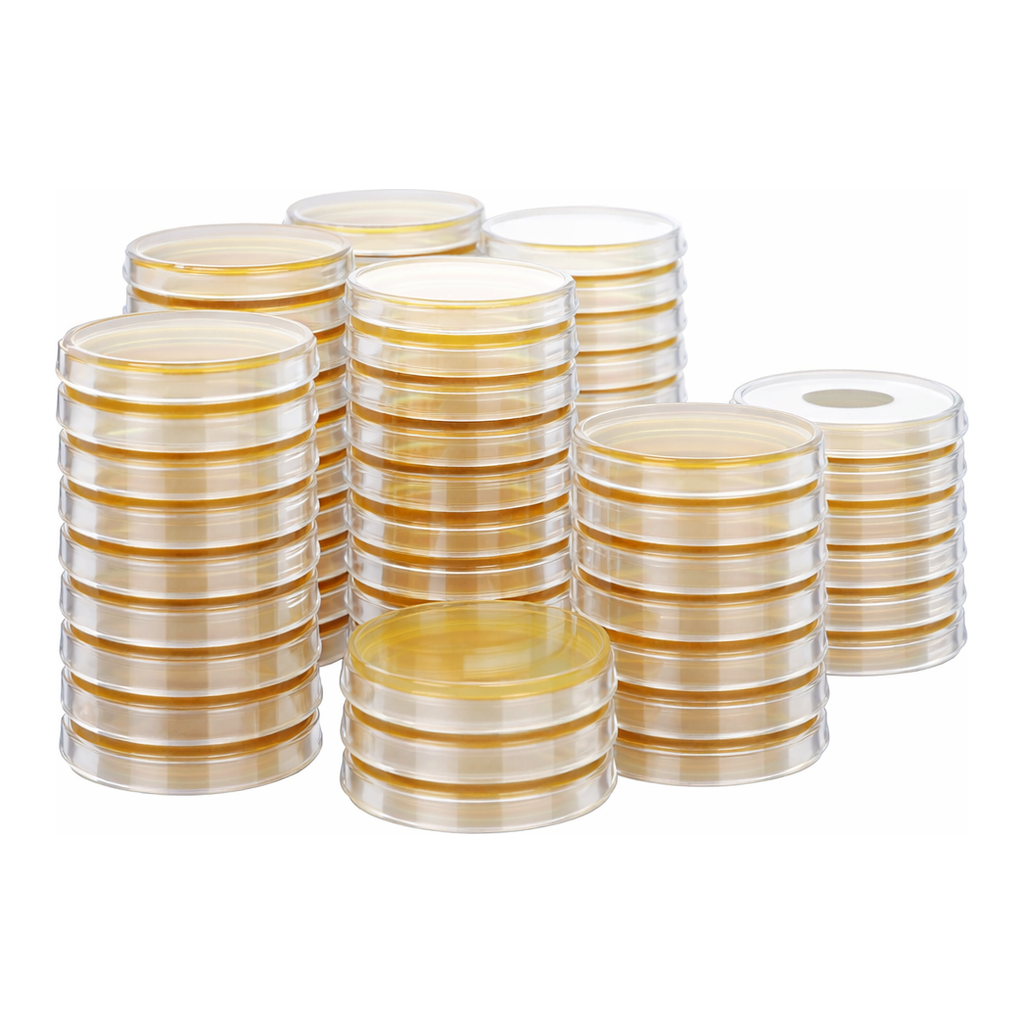 Kisanbio MBcell Sabouraud Dextrose (SD) Agar Rodac Plate / MB-S1527-R50