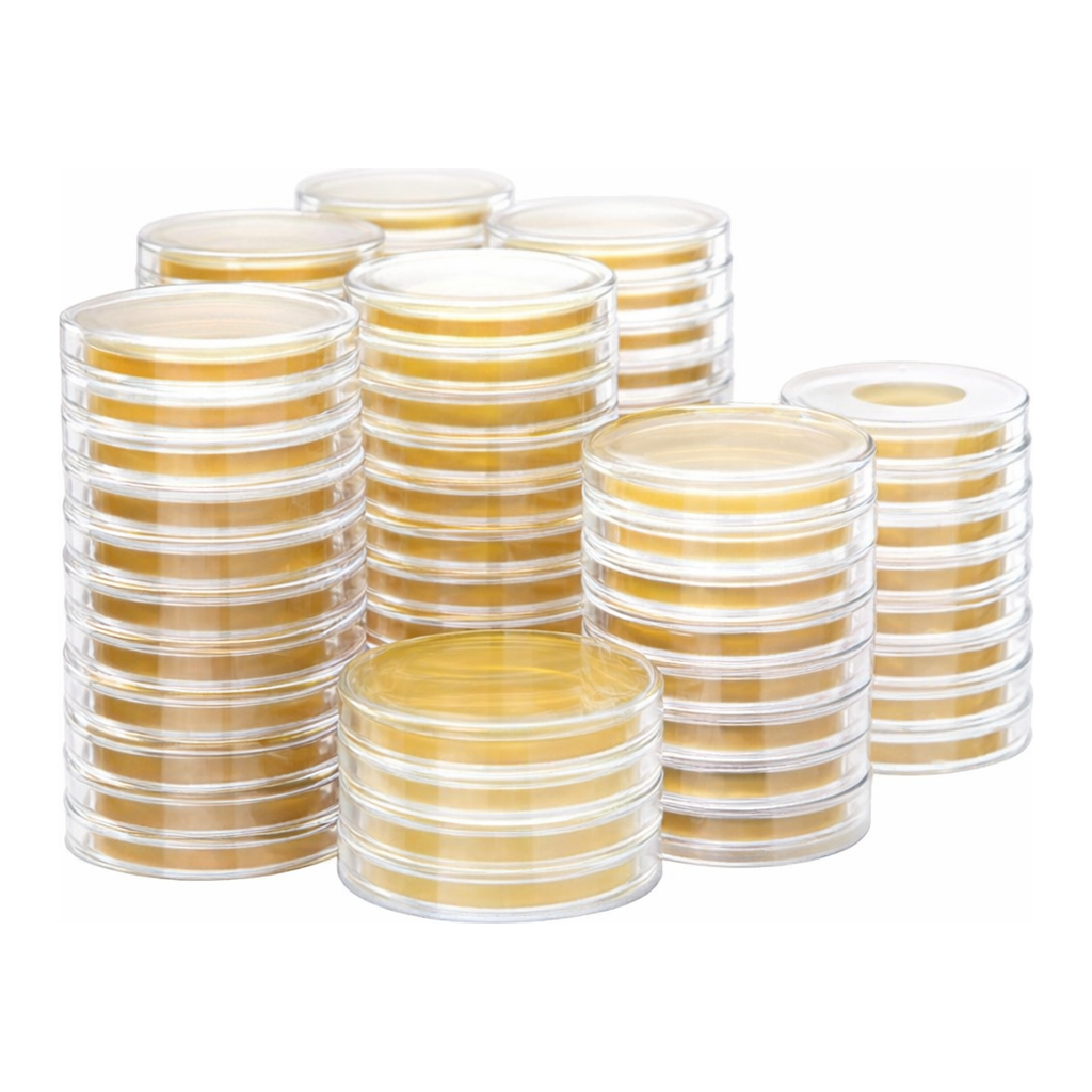 Kisanbio MBcell Sabouraud Dextrose (SD) Agar with Chloramphenicol No.2 Rodac Plate / MB-S0904-R50