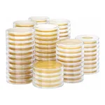 Kisanbio MBcell Sabouraud Dextrose (SD) Agar with Chloramphenicol No.2 Rodac Plate / MB-S0904-R50
