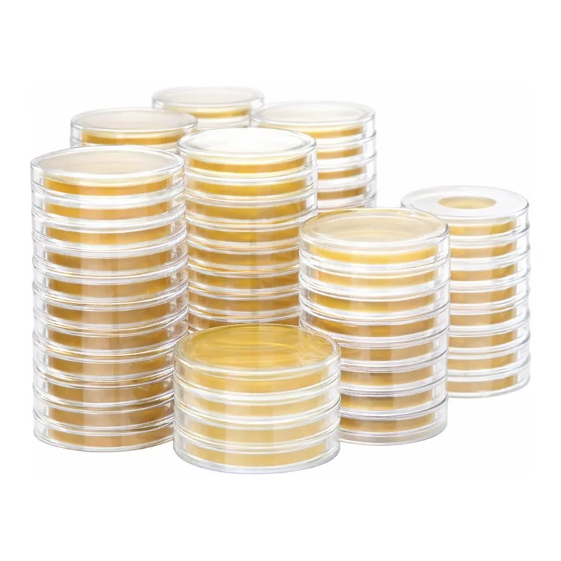 Kisanbio MBcell Sabouraud Dextrose (SD) Agar with Chloramphenicol No.2 Rodac Plate / MB-S0904-R50