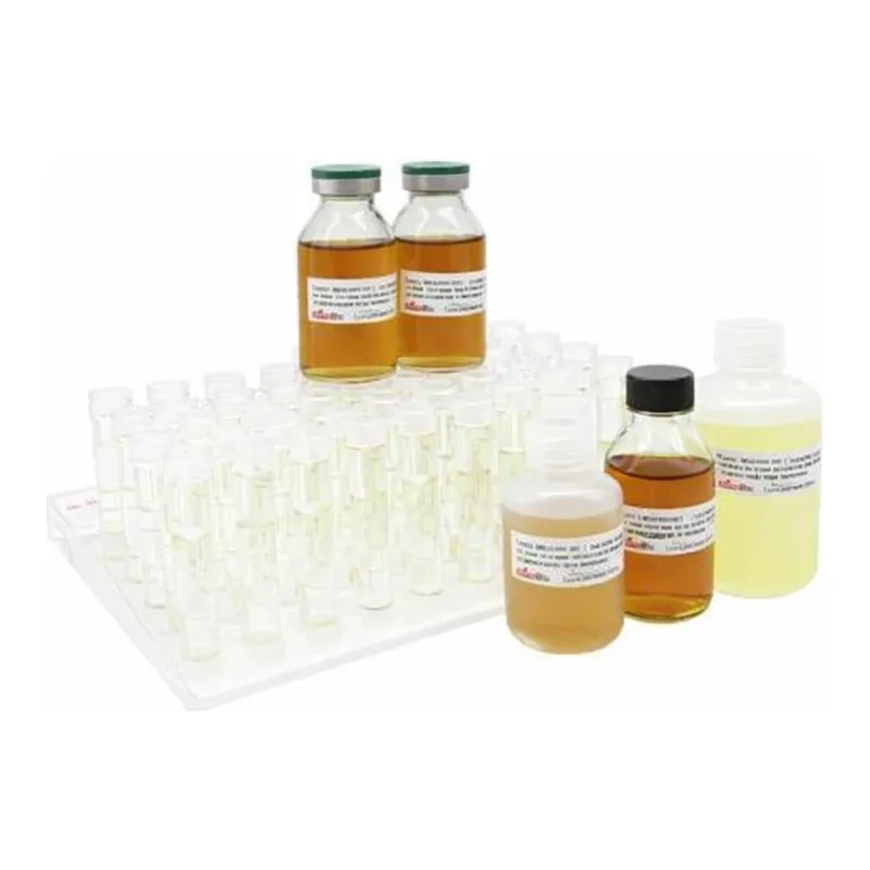 Kisanbio MBcell TSB (Tryptic Soy Broth) 9ml Tubes / MB-T1053-T50