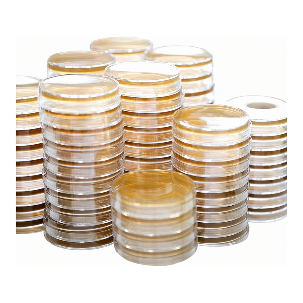 Kisanbio MBcell TSA (Tryptic Soy Agar) Plate / MB-T1052-P50