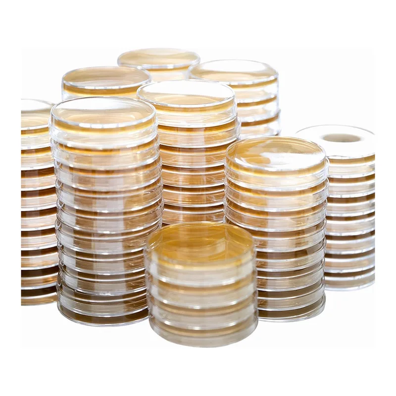 Kisanbio MBcell TSA (Tryptic Soy Agar) Plate / MB-T1052-P50