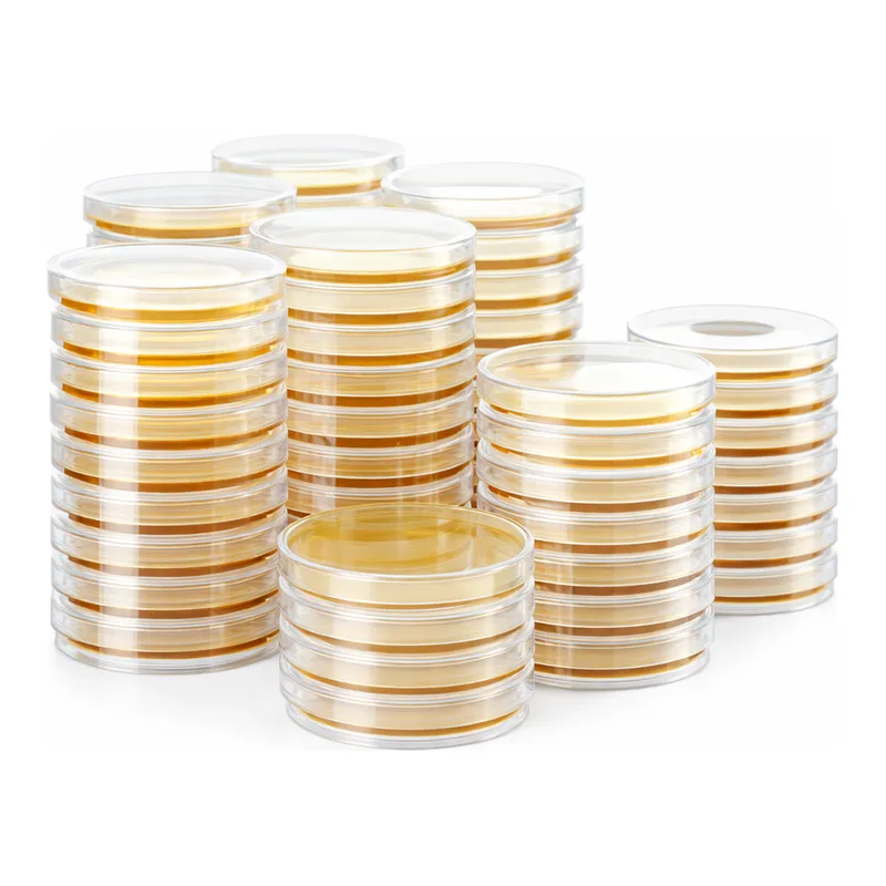 Kisanbio MBcell Nutrient Agar Plate / MB-N1036-P50