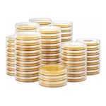 Kisanbio MBcell Sabouraud Dextrose (SD) Agar Plate / MB-S1527-P50