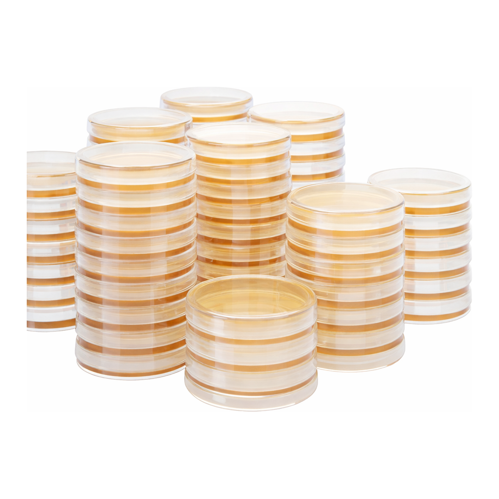 Kisanbio MBcell Sabouraud Dextrose (SD) Agar with Chloramphenicol No.2 plate / MB-S0904-P50