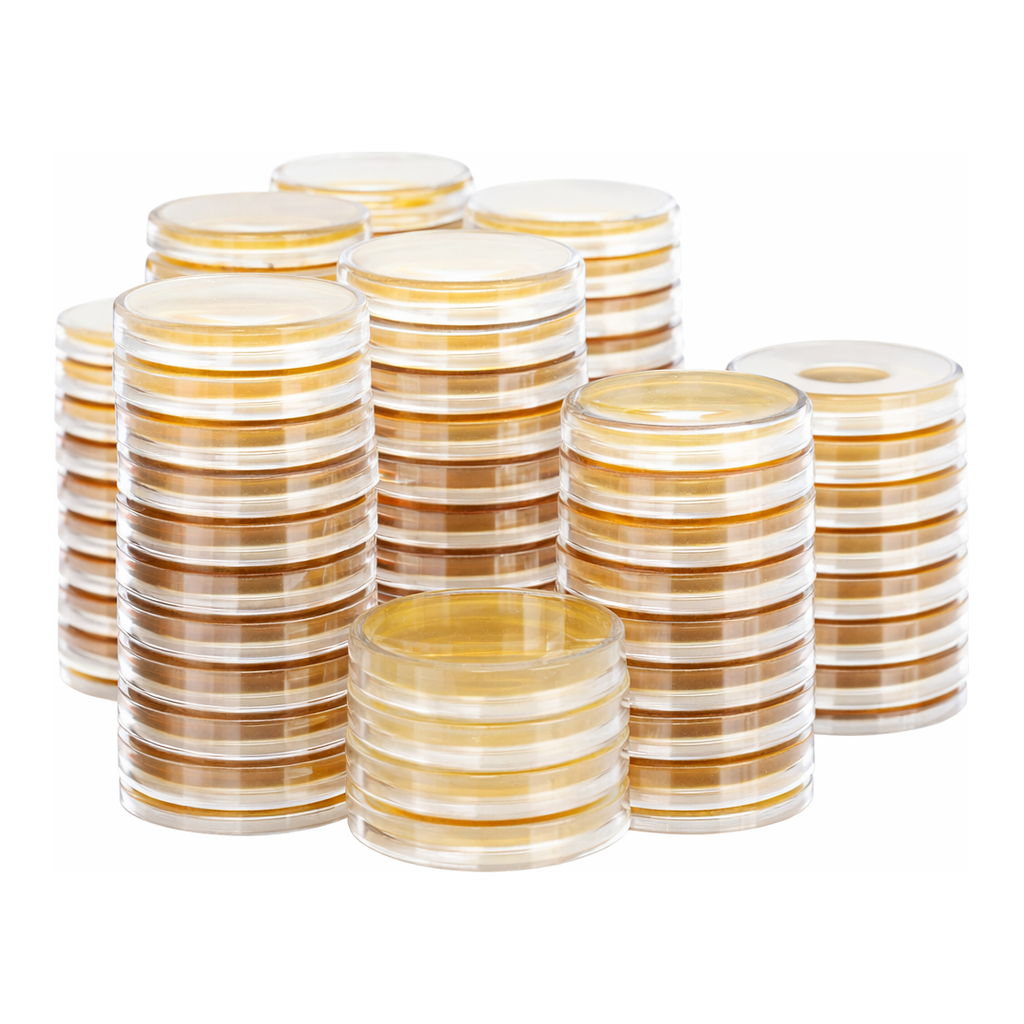 Kisanbio MBcell Yeast Extract Peptone Dextrose (YPD) Agar Plate / MB-Y0616-P50