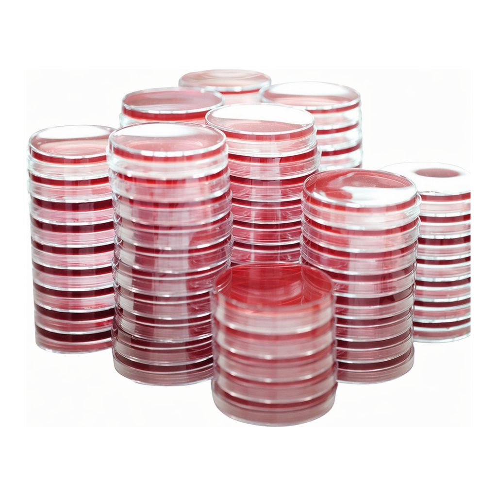 Kisanbio MBcell XLD (Xylose Lysine Desoxycholate) Agar plate / MB-X1060-P50