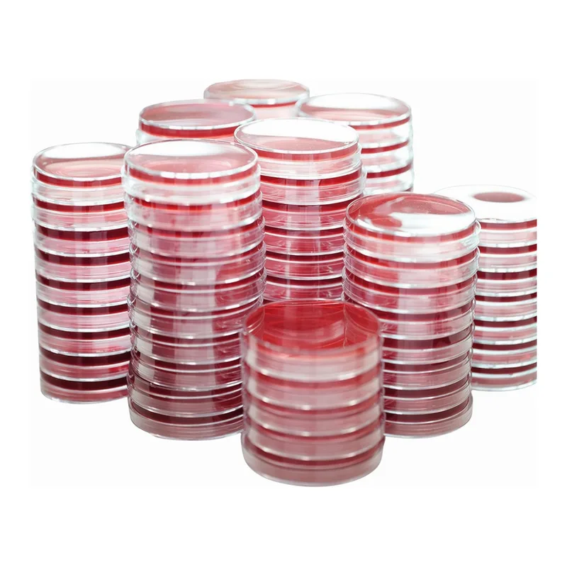 Kisanbio MBcell XLD (Xylose Lysine Desoxycholate) Agar plate / MB-X1060-P50