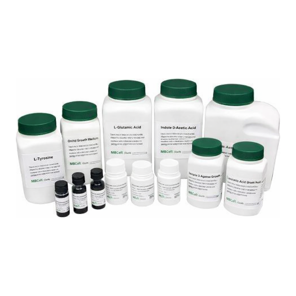 Kisanbio MBcell Choline Chloride