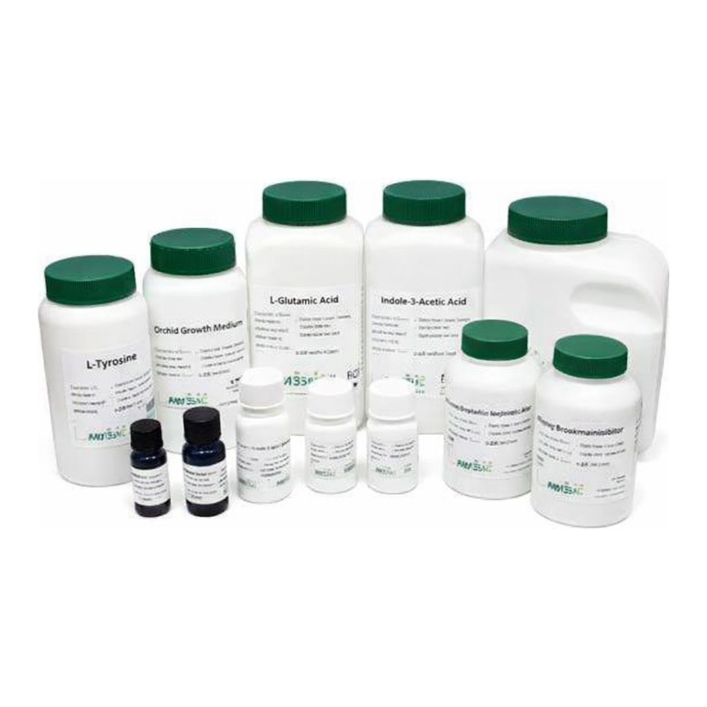 Kisanbio MBcell MB Agar