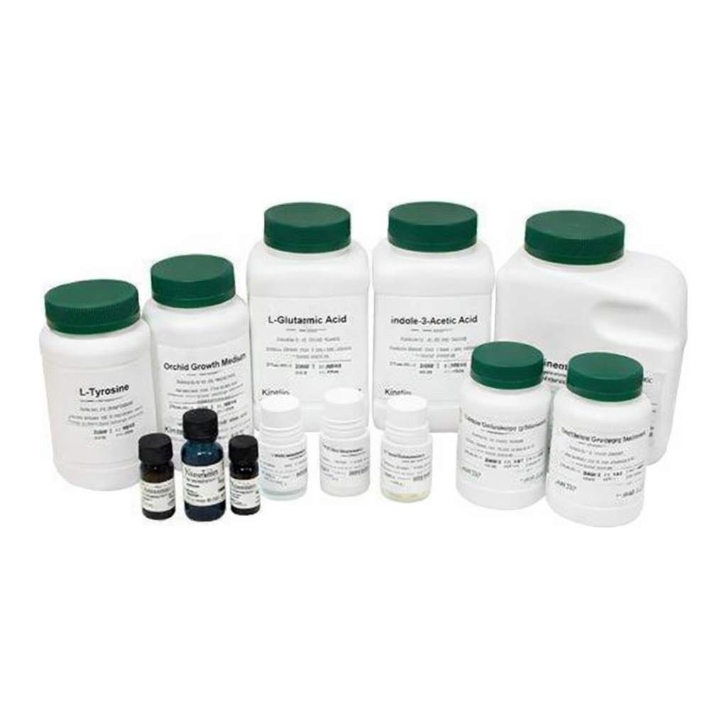 Kisanbio MBcell Actinomycin D
