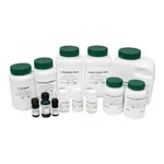 Kisanbio MBcell Actinomycin D