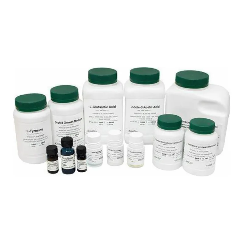 Kisanbio MBcell Actinomycin D