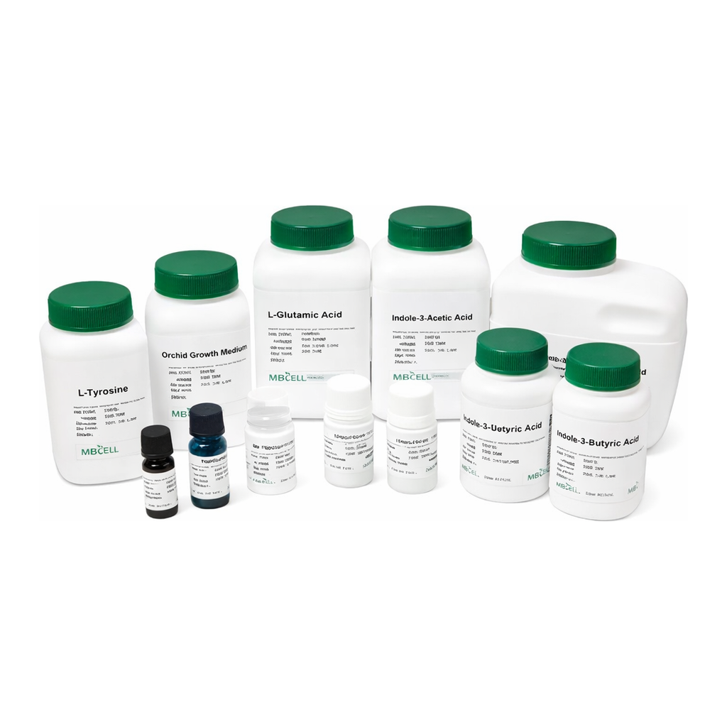 Kisanbio MBcell L-Glutamic acid (Glutamate)