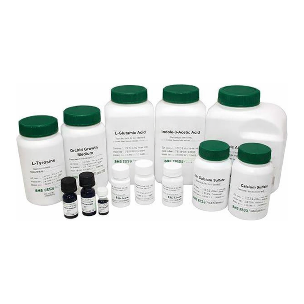 Kisanbio MBcell Magenta-GlcA