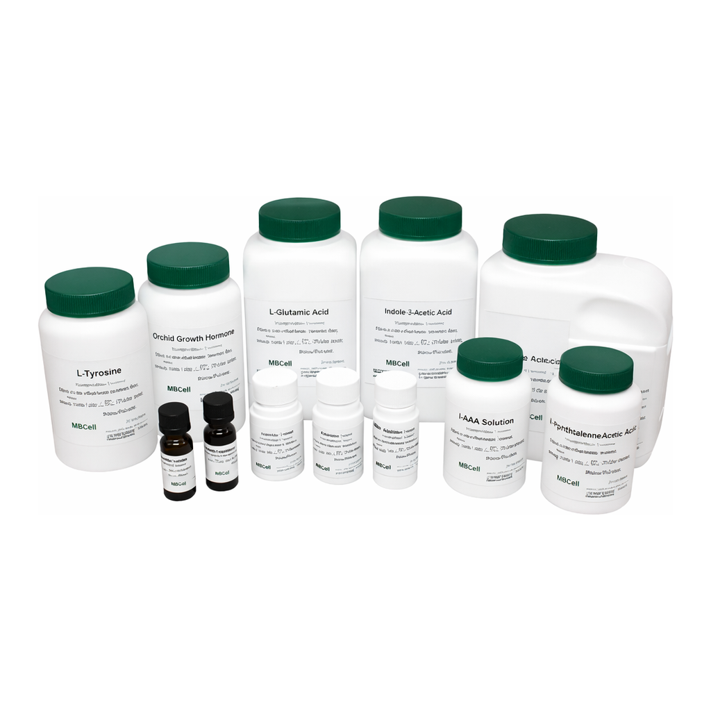 Kisanbio MBcell Folinic Acid Calcium Pentahydrate